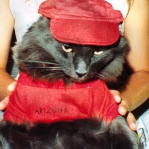 Meet your Posher, Heidi